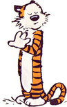 Wiki