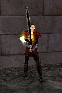 Paladin
