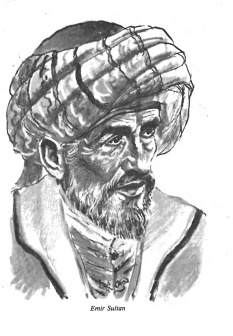 Emir Sultan
