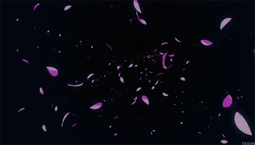 cherry blossom petals gif