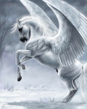 Pegasus