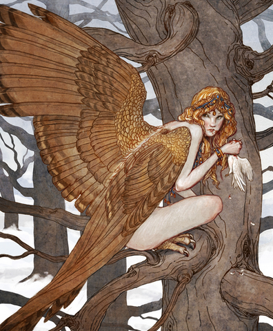 File:Harpie image.png