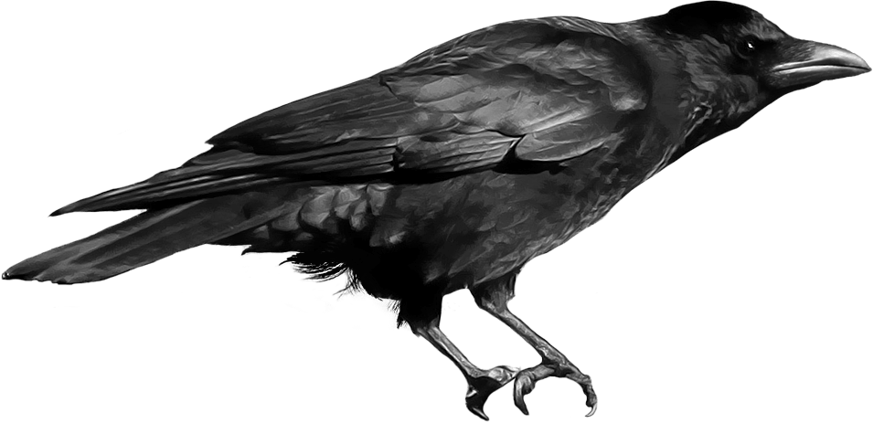crow agency personals Global personals — whose headquarters are in ‘he’d never heard of the agency jason momoa's 'dream' of starring in the crow remake shot down by financial 'disagreements' the 38. crow agency personals Global personals — whose headquarters are in ‘he’d never heard of the agency jason momoa's 'dream' of starring in the crow remake shot down by financial 'disagreements' the 38.
