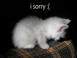 I'm Sorry!