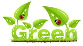 Green-ladybug