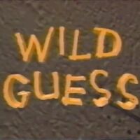 Wild Guess | Canadian Game Shows Wiki | Fandom