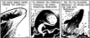 Whale