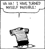 Calvin In Invisible Form