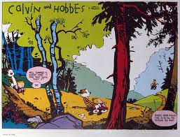Woods