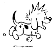 Calvin in Dog Form