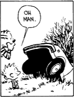 Car in the ravine