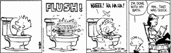 C and H toilet