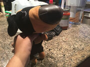 Smart Dog
