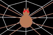 Tarantula flag alternative