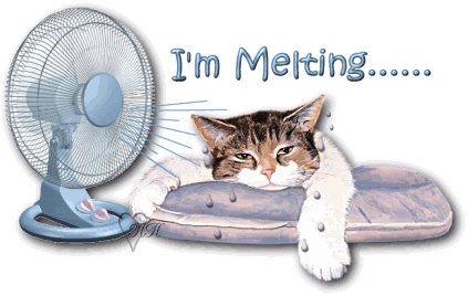 Image result for I'm melting gif