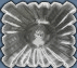 One-layered Icing Degrader