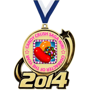 Medal2014