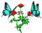 Flower 4