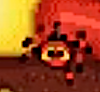 Spidora