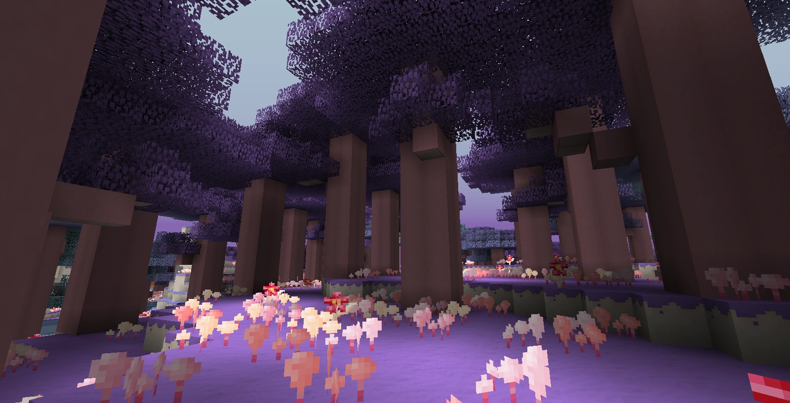 Enchanted Forest | CandyCraft Wiki | FANDOM powered by Wikia