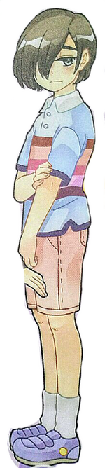 Robin appearance