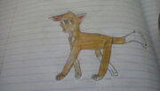 Kipy