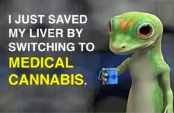 I just saved my liver by switching to medical cannabis