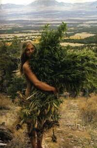Nature's hug