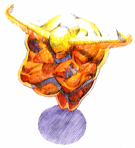 File:DarkstalkersTNW Pyron.png