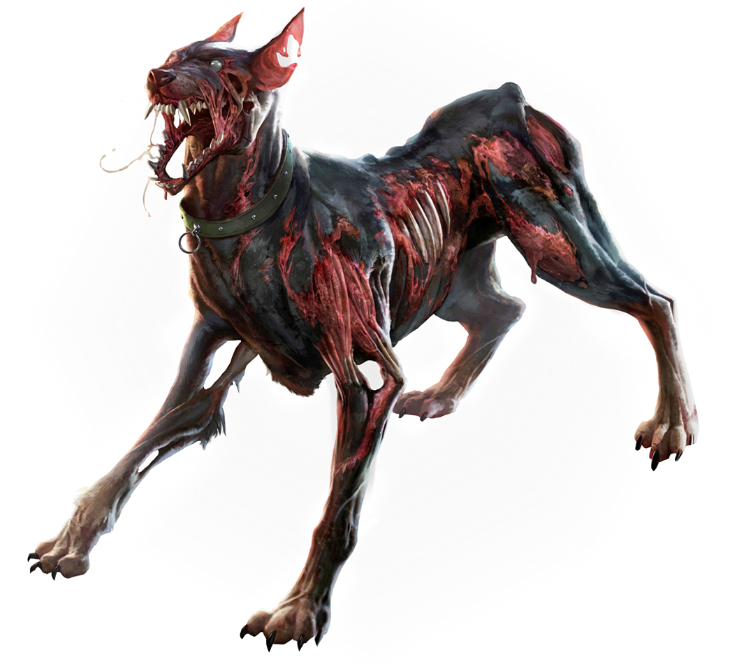 Image Result For Rottweiler Unicorn