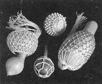 Afoxe Xequere