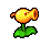 Flowas