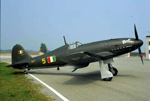 Fiat g55 истребитель