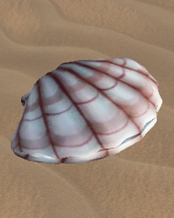 The Seashell Car Crushers 2 Wiki Fandom - roblox car crushers 2 script 2020