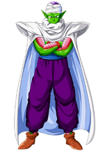 Piccolo Trans
