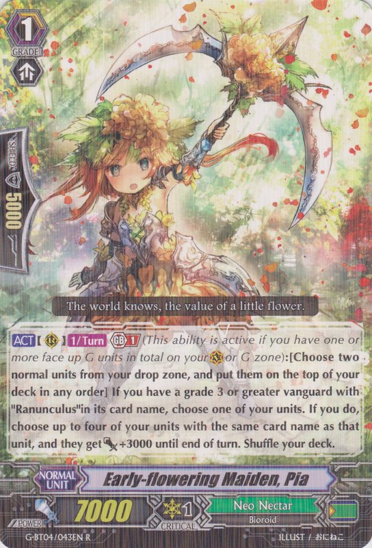 Early-flowering Maiden, Pia