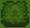 Bush