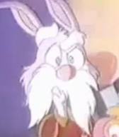 White rabbit
