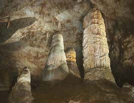 Stalagmites Carlsbad Caverns