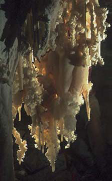 Carlsbad-spidercave1