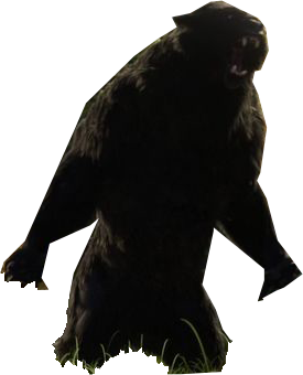 Mordu Mordu