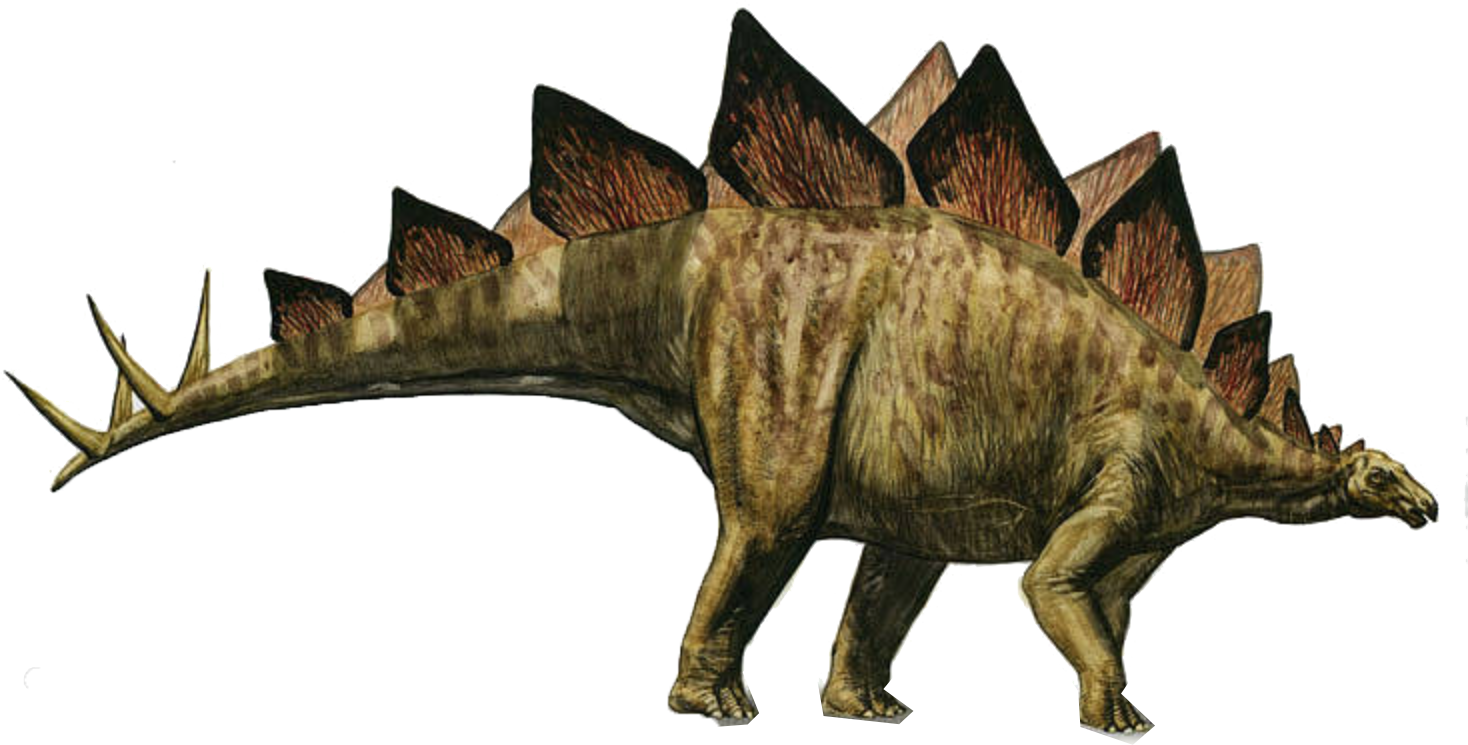 Стегозавр арматус. Стегозавр и Аллозавр. Стегозавр парк Юрского периода. Травоядные динозавры Стегозавр. Травоядные динозавры с шипами