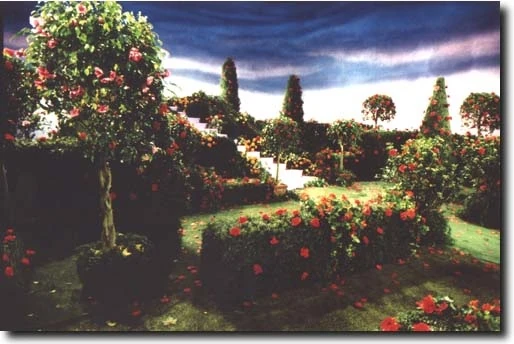 Image - Carmen's Garden.jpg | Carmen (animated & live action) Wiki