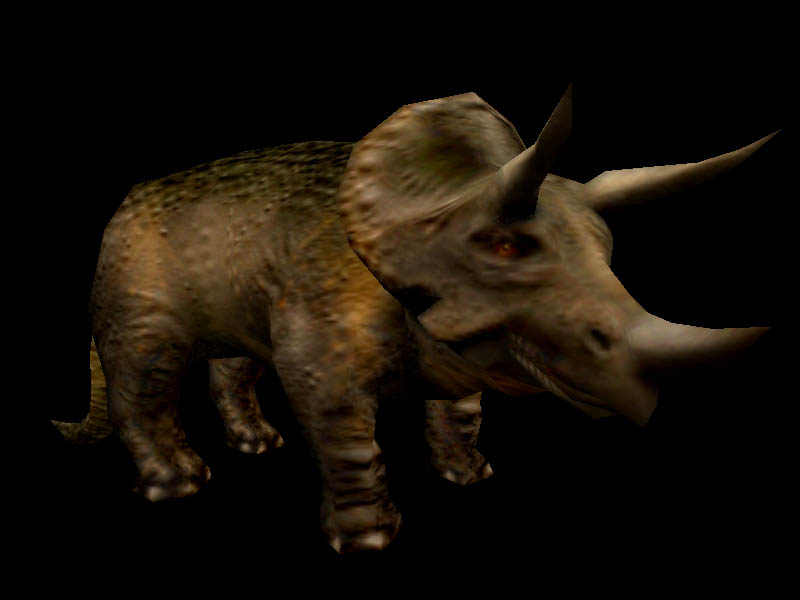 1 horned triceratops