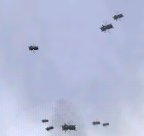 Flies