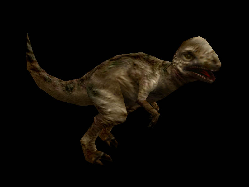 Pachycephalosaurus Carnivores Wiki Fandom Powered By Wikia 3478