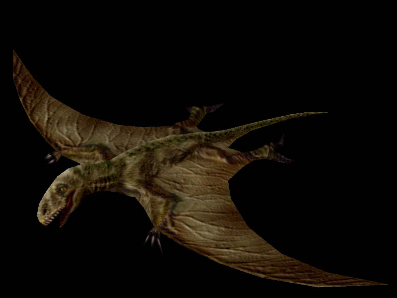 dimorphodon dinosaur