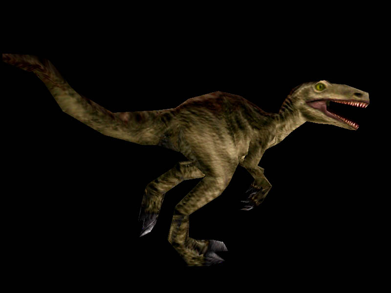 allosaurus velociraptor