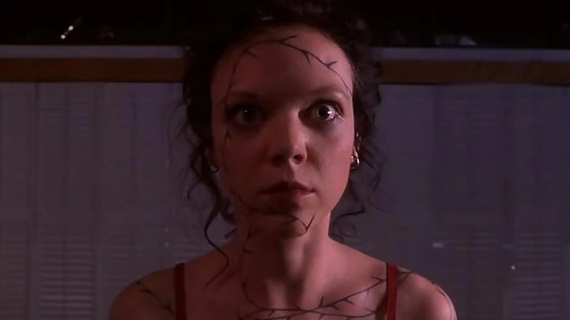 Image - 6a017d4117b2c6970c019b005719c6970b-800wi.jpg Carrie Wiki FANDOM powered by Wikia