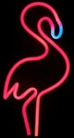 Pink Flamingo Club